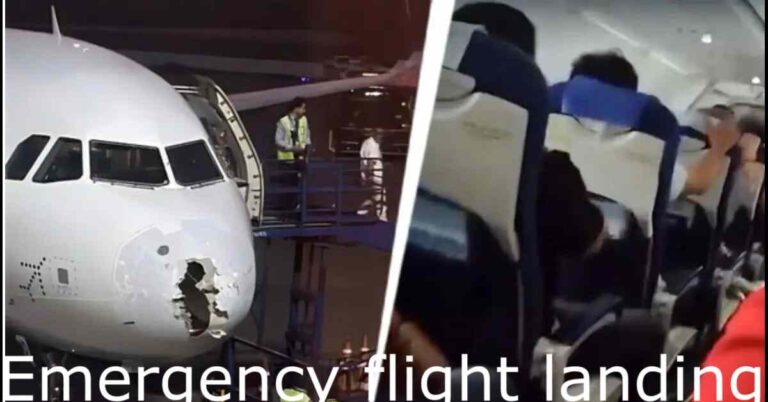 Emergency flight landing