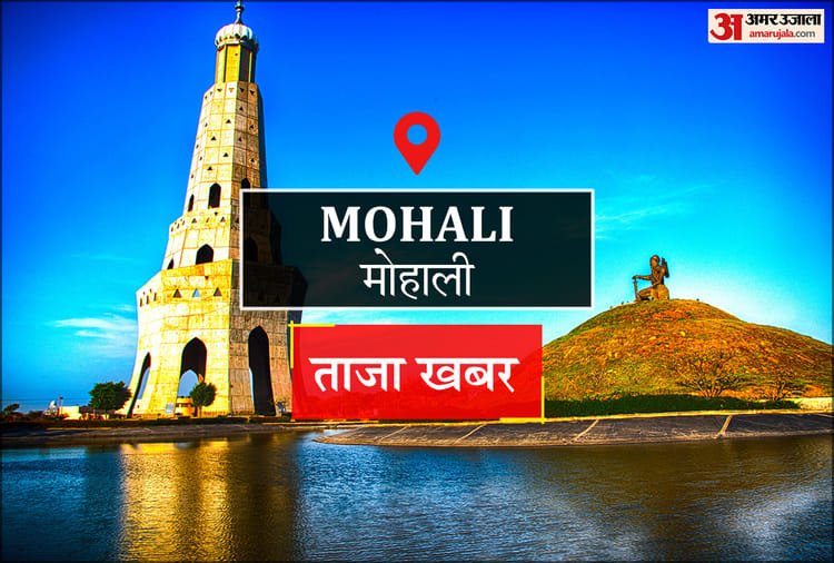 Mohali News: एक यूनिट रक्त, तीन जिंदगियों की उम्मीद; आइए आज करें रक्तदान – Amar Ujala