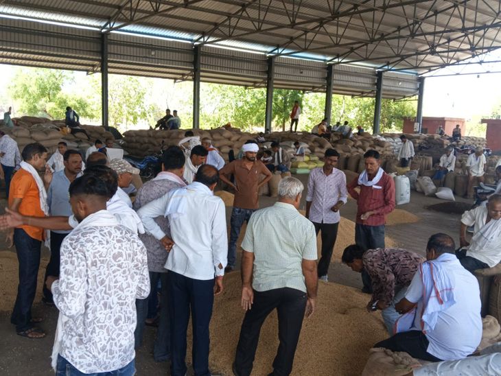 अटरू मंडी में कृषि जिंसों की आवक बढ़ी: सोयाबीन की आवक 244 क्विंटल दर्ज, धनिया 14,300 रुपये प्रति क्विंटल बिका – Dainik Bhaskar