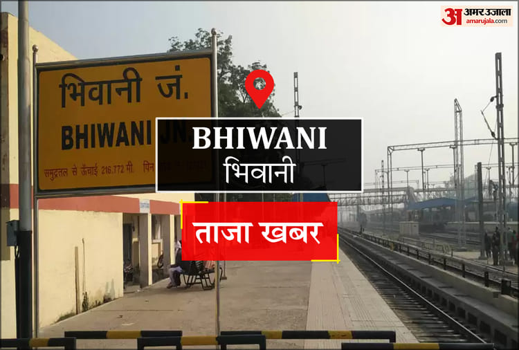 Bhiwani News: मतदाता सूची पुनरीक्षण को लेकर आज से घर-घर पहुंचेंगे बीएलओ, 941 अधिकारी लगाए गए