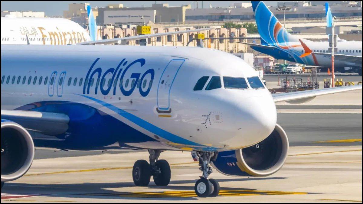 indigo flight