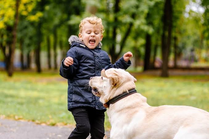 dog attack