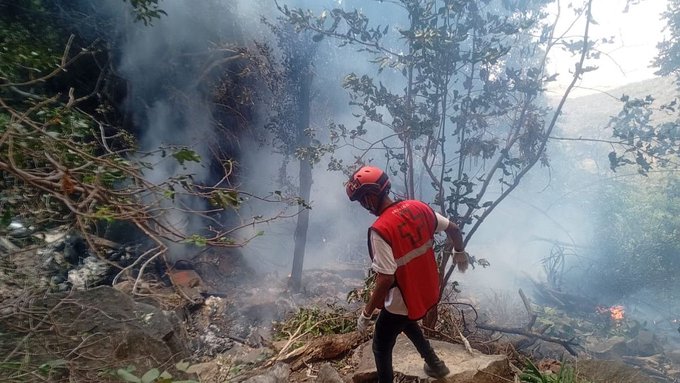 Kenya Helicopter Crash Leaves 7 Dead, Including 5 Americans